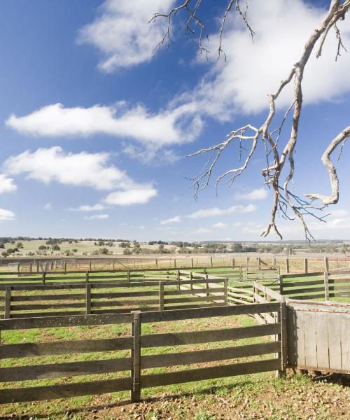 Una panoràmica bonica de Gunnedah