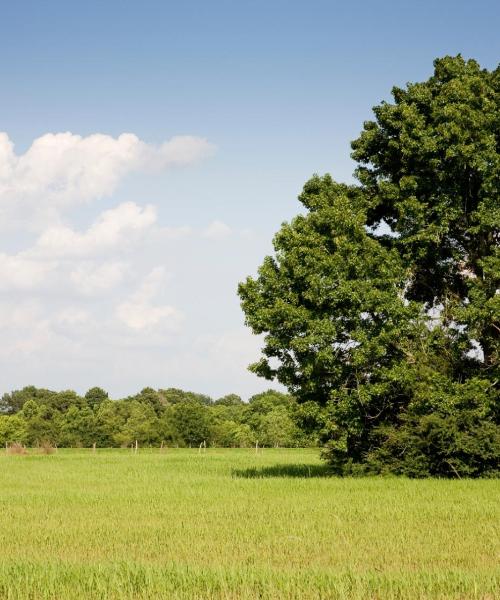 Όμορφη θέα του προορισμού Copperas Cove