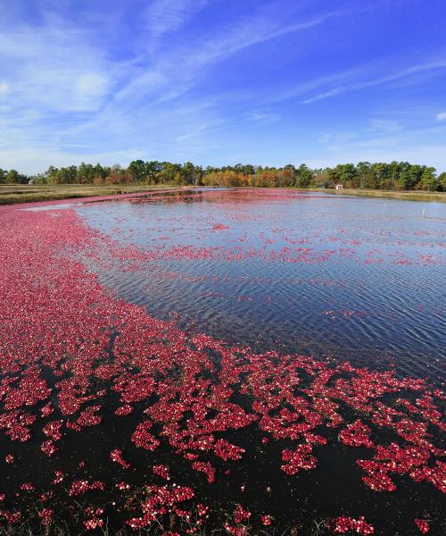 A beautiful view of Tomah