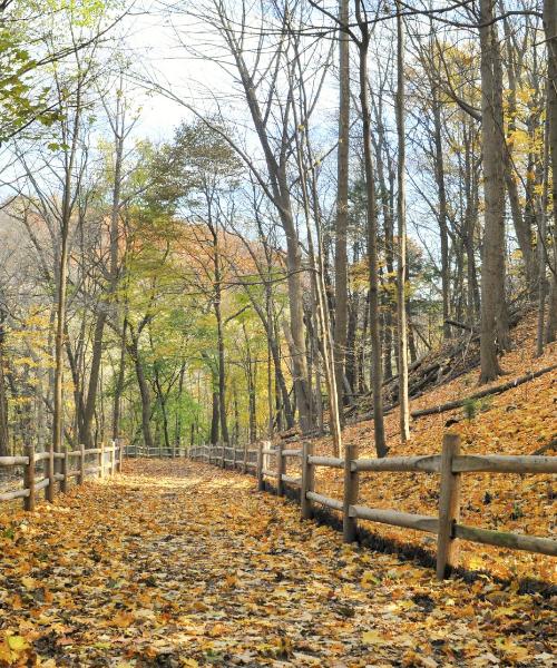 Una bonita panorámica de Hickory