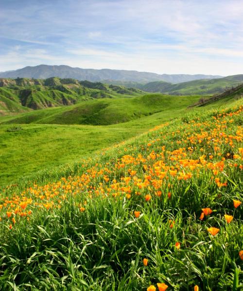 Una bellissima vista di Chino Hills