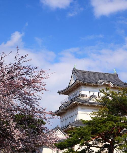 Una hermosa vista de Aizuwakamatsu