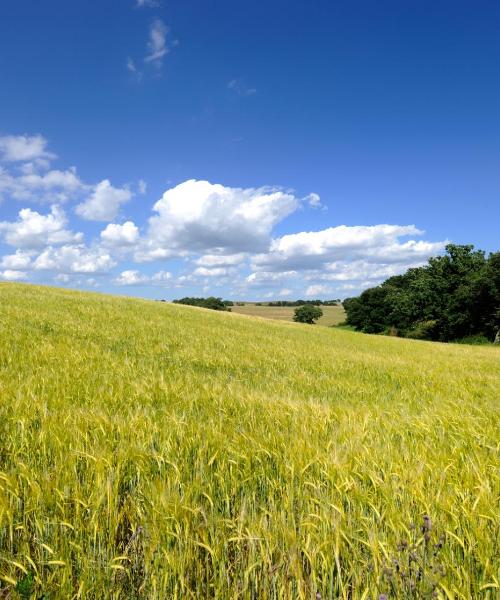 Čudovit pogled na mesto Pomezia