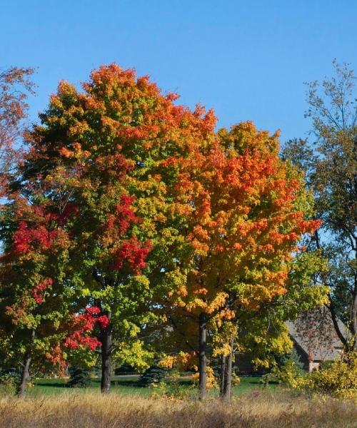 A beautiful view of Southfield