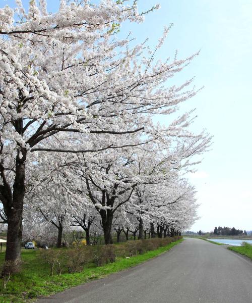 Una bonita panorámica de Akita