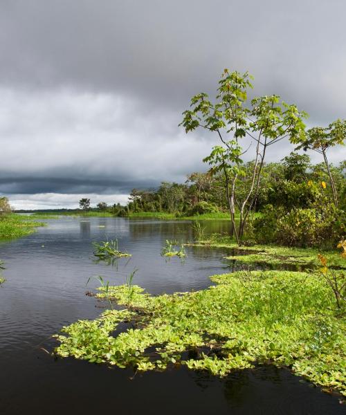 A beautiful view of Pucallpa – a popular city among our users