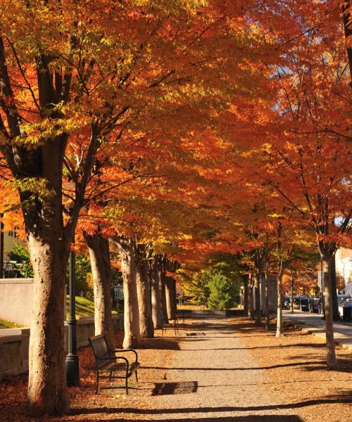 Una bellissima vista di Princeton