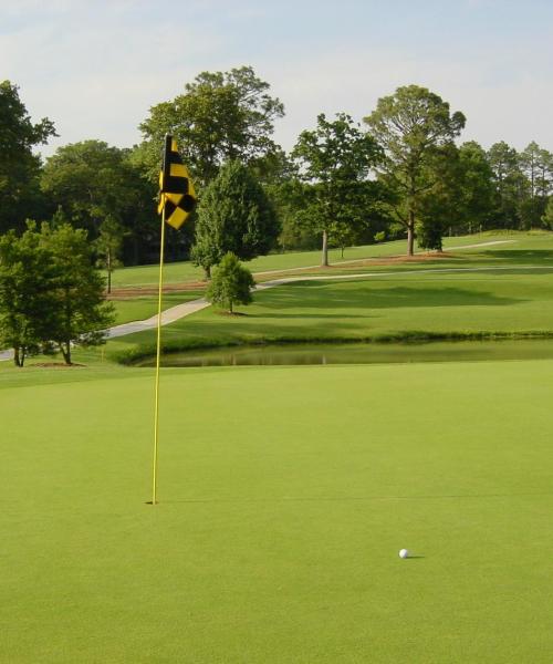 A beautiful view of Pinehurst