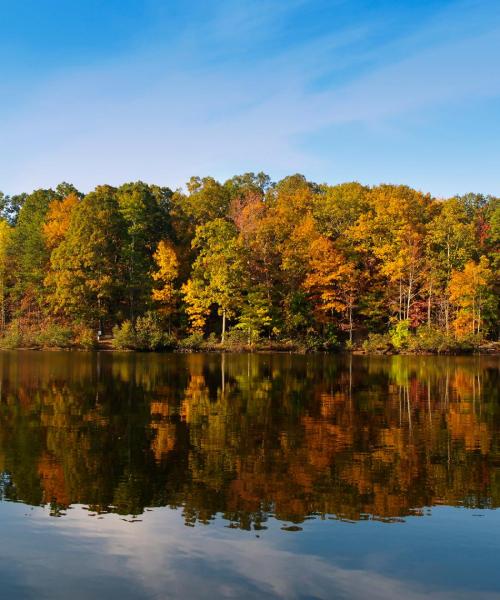 A beautiful view of Wake Forest.