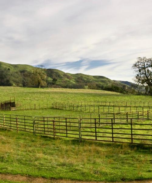 A beautiful view of Pleasanton.