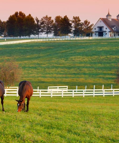 Una bellissima vista di Paducah