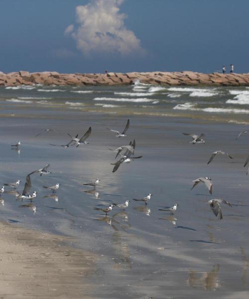 Una bellissima vista di Harlingen