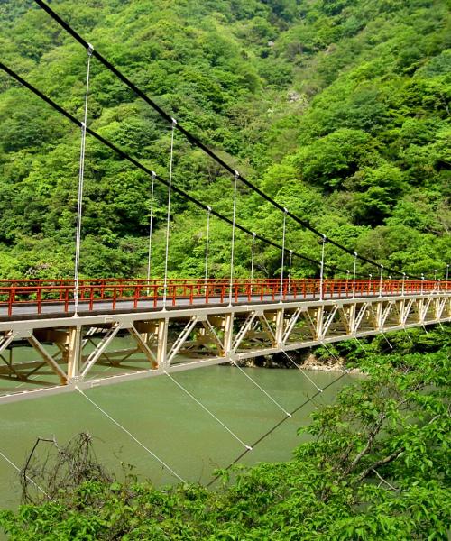 宇治市的美景
