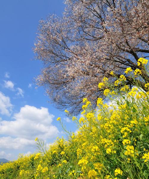 佐賀市の美しい景色