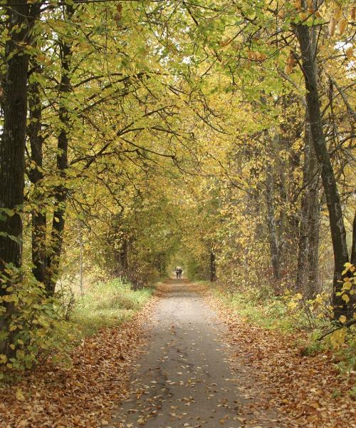 Piękny widok na miasto Cumming