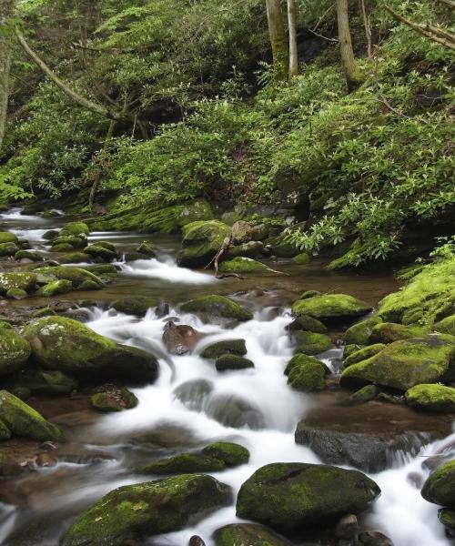 Čudovit pogled na mesto Oak Ridge