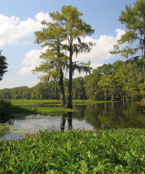 Una bonita panorámica de Houma