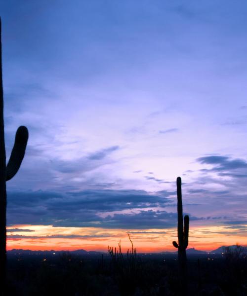 A beautiful view of Oro Valley.