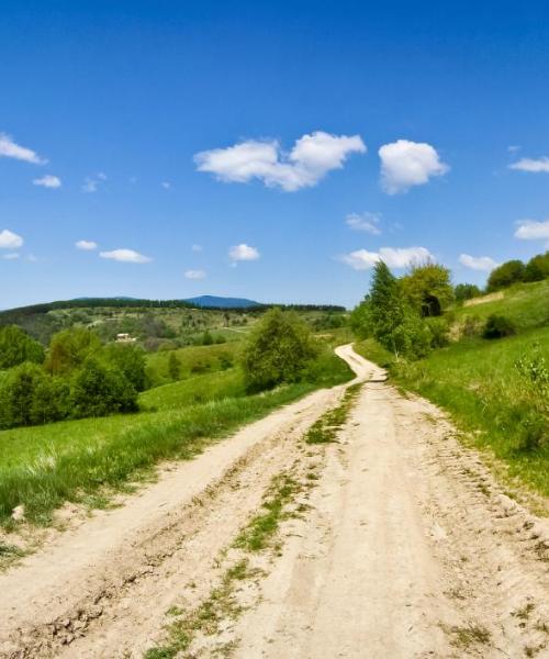 Krásný pohled na město Muswellbrook