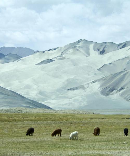 Linna Kashgar kaunis vaade