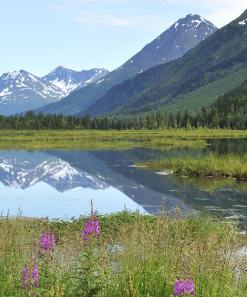 Soldotna şehrinden güzel bir manzara