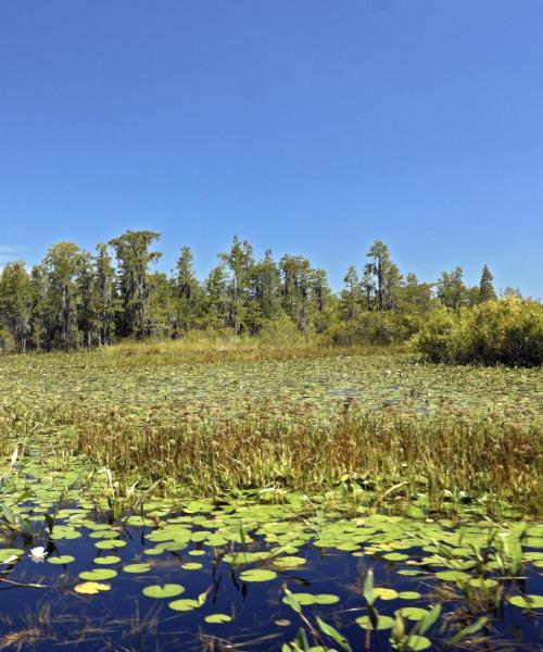 Una panoràmica bonica de Waycross