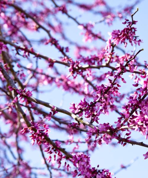 Krásný pohled na město Spring
