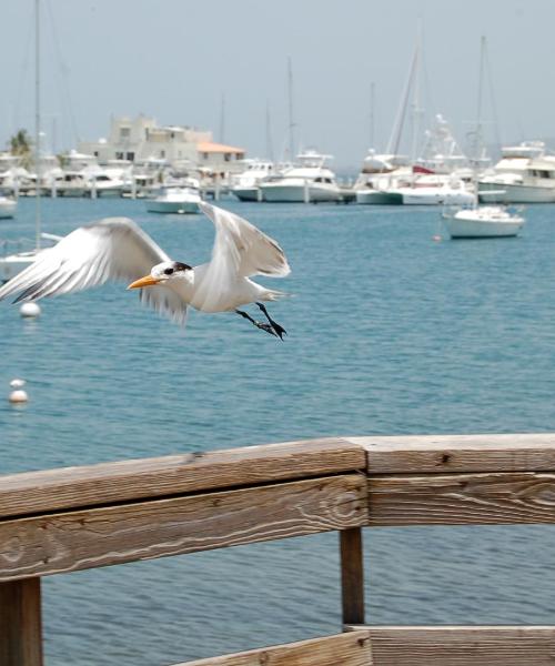 A beautiful view of Ponce.