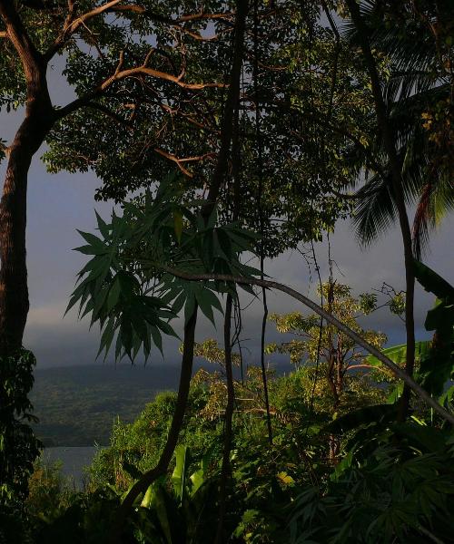 Rio do Sul şehrinden güzel bir manzara