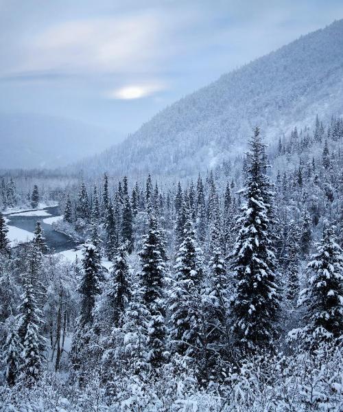 Ein schöner Blick auf Kenai