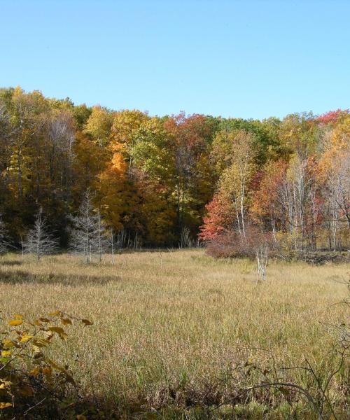 Una hermosa vista de Owatonna