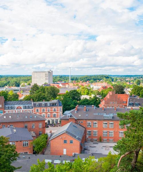 Kaunis näkymä kaupunkiin Næstved