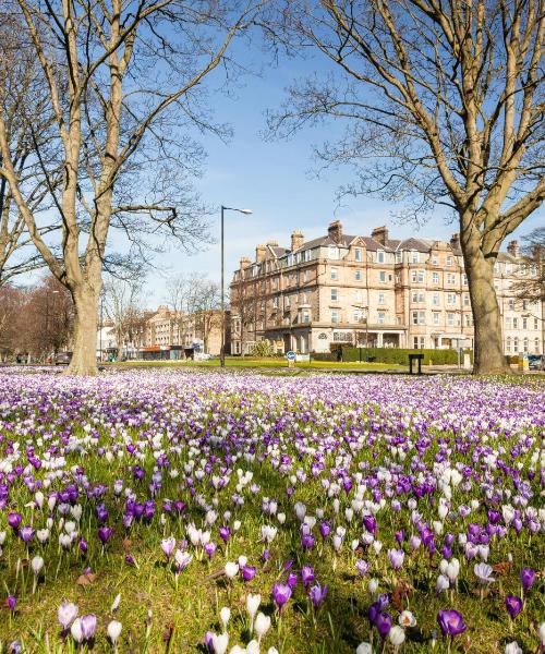 Een mooi uitzicht op Harrogate