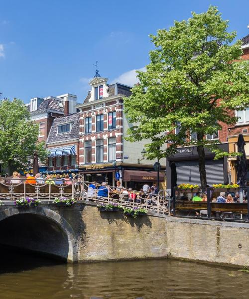 Piękny widok na miasto Leeuwarden