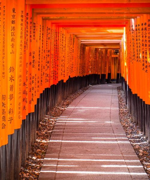 A beautiful view of Kyoto