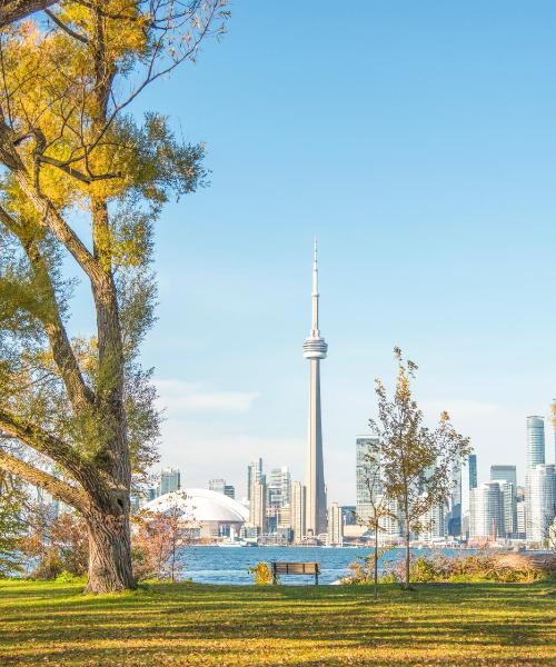 A beautiful view of Toronto.