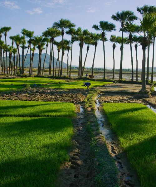 A beautiful view of Thanh Hóa