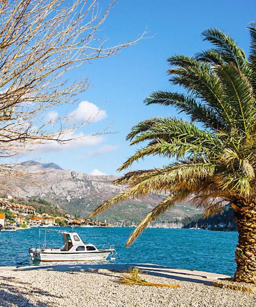A beautiful view of Mokošica – a popular city among our users