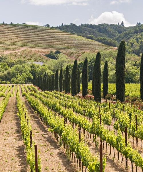 Krásný pohled na město Healdsburg