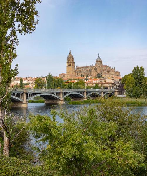 A beautiful view of Salamanca