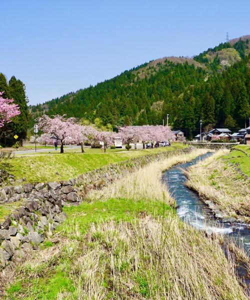 A beautiful view of Fukui – a popular city among our users