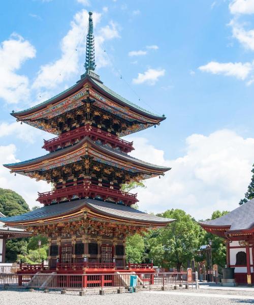 Piękny widok na miasto Narita
