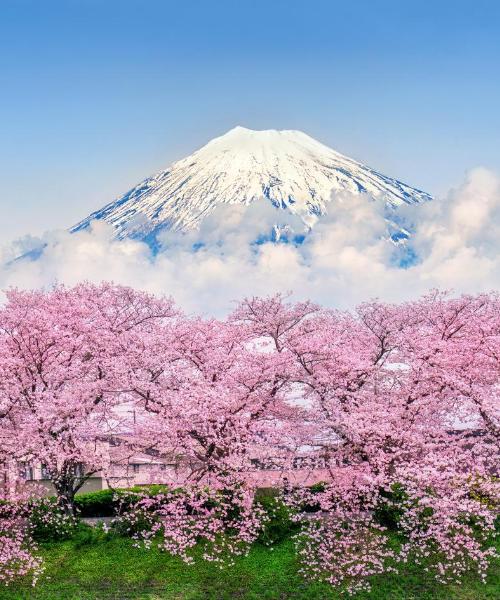 A beautiful view of Shizuoka – a popular city among our users