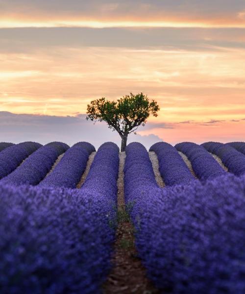 A beautiful view of Manosque
