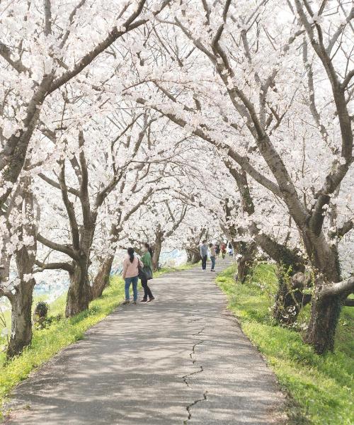 Een mooi uitzicht op Kurume – een populaire stad onder onze gebruikers