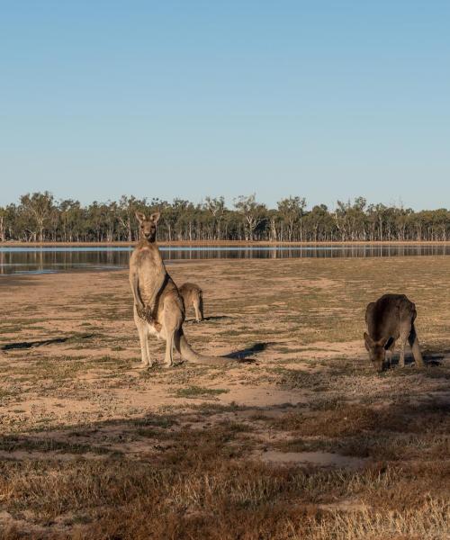 A beautiful view of Dalby