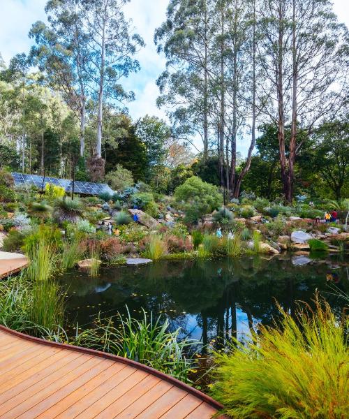 A beautiful view of Dandenong – a popular city among our users