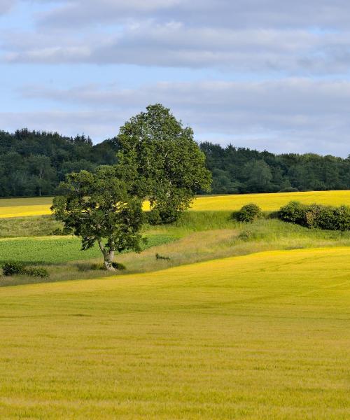 A beautiful view of Livingston – a popular city among our users