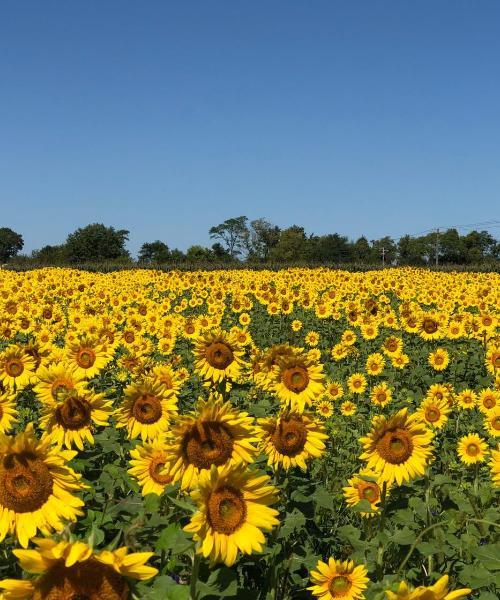 A beautiful view of Mason