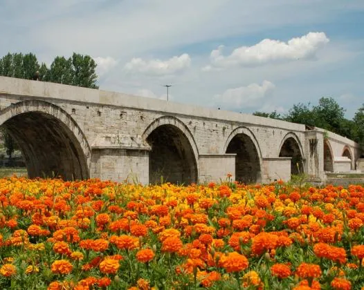 Ljubljana – Skopje